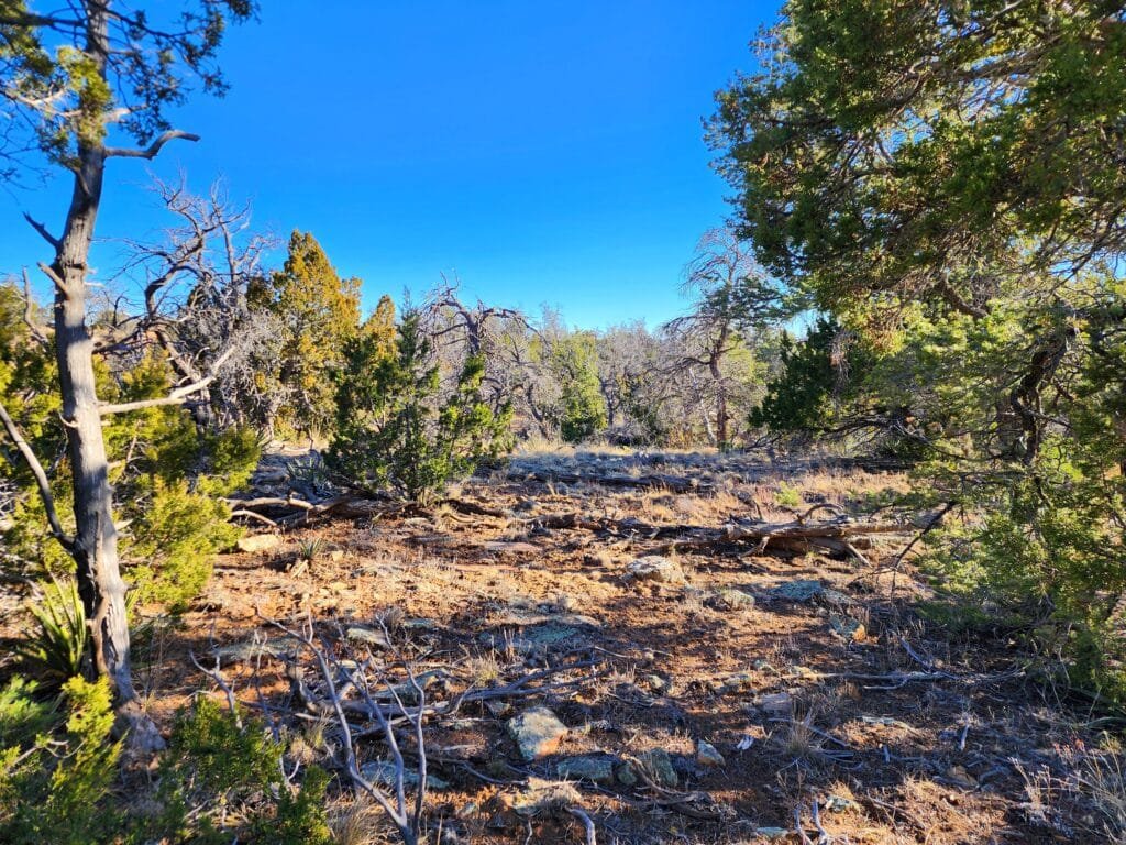 5 Acres of Freedom: No Zoning Restrictions for Your Dream Home or RV in Ramah, NM, for $250/mo - photo 3
