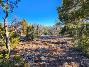 5 acre land for sale in Ramah, New Mexico - photo 3