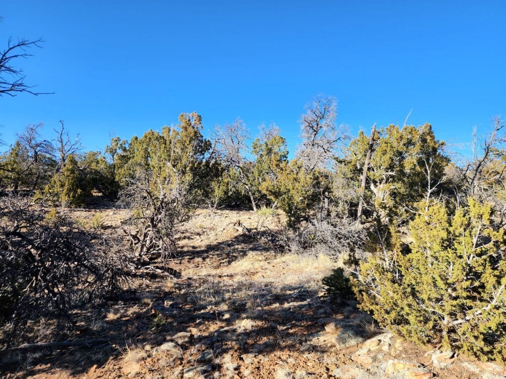 5 Acres of Freedom: No Zoning Restrictions for Your Dream Home or RV in Ramah, NM, for $250/mo - photo 6
