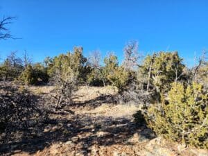 5 acre land for sale in Ramah, New Mexico - photo 6