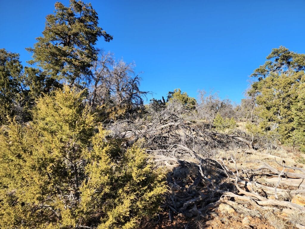 5 Acres of Freedom: No Zoning Restrictions for Your Dream Home or RV in Ramah, NM, for $250/mo - photo 7