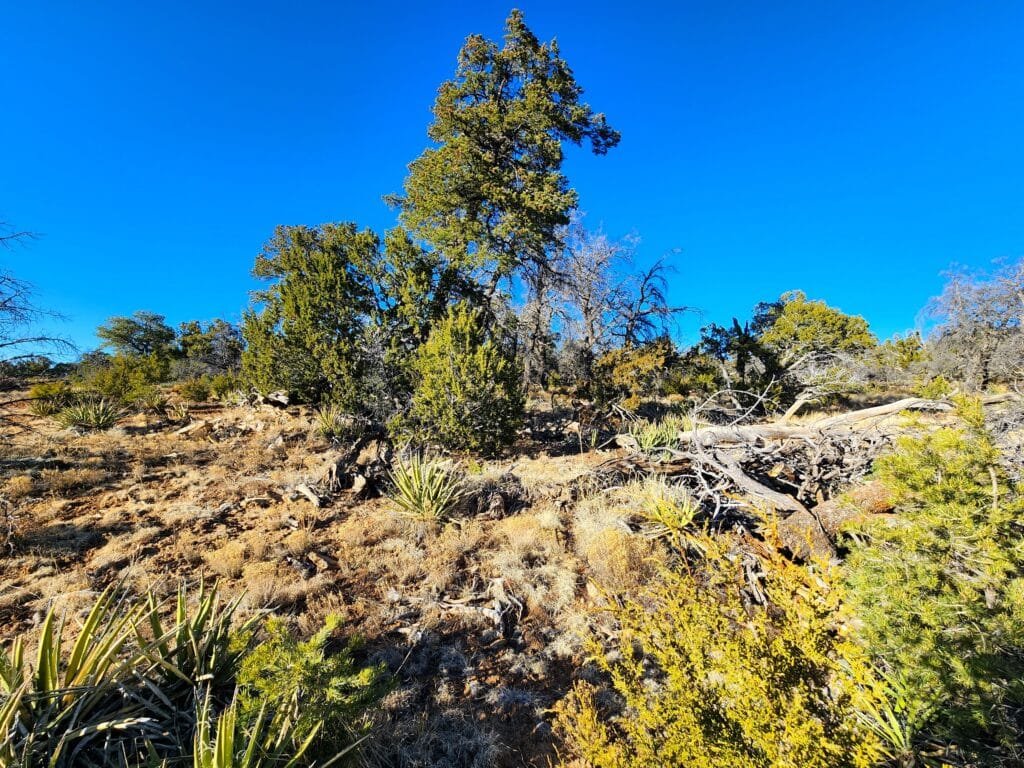 5 Acres of Freedom: No Zoning Restrictions for Your Dream Home or RV in Ramah, NM, for $250/mo - photo 8
