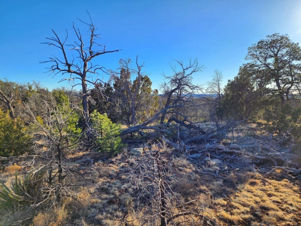 5 Acres of Freedom: No Zoning Restrictions for Your Dream Home or RV in Ramah, NM, for $250/mo - photo 9