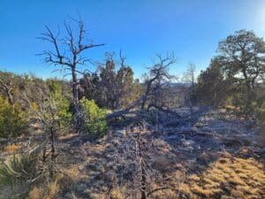 5 acre land for sale in Ramah, New Mexico - photo 9