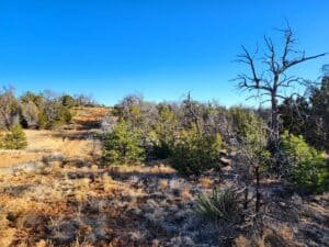 5 acre land for sale in Ramah, New Mexico - photo 10