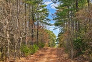 0.19 acre land for sale in Toomsuba, Mississippi - photo 1