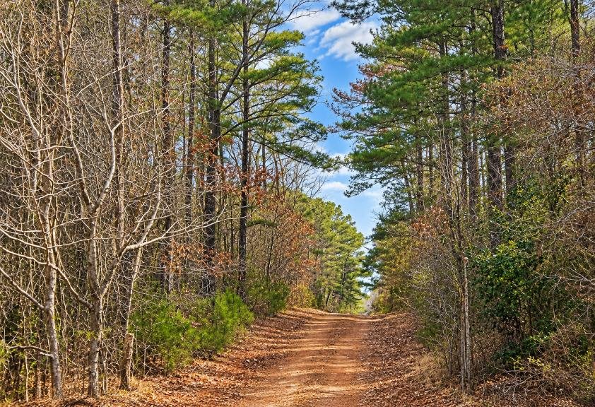 0.19-Acre Land Lot for Sale Near Lake Tom Bailey in Toomsuba, MS