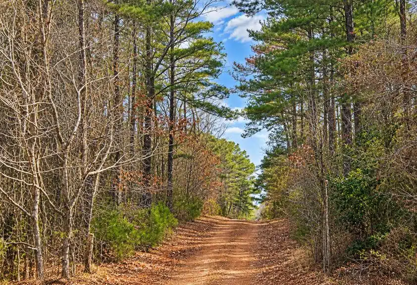 0.19-Acre Land Lot for Sale Near Lake Tom Bailey in Toomsuba, MS