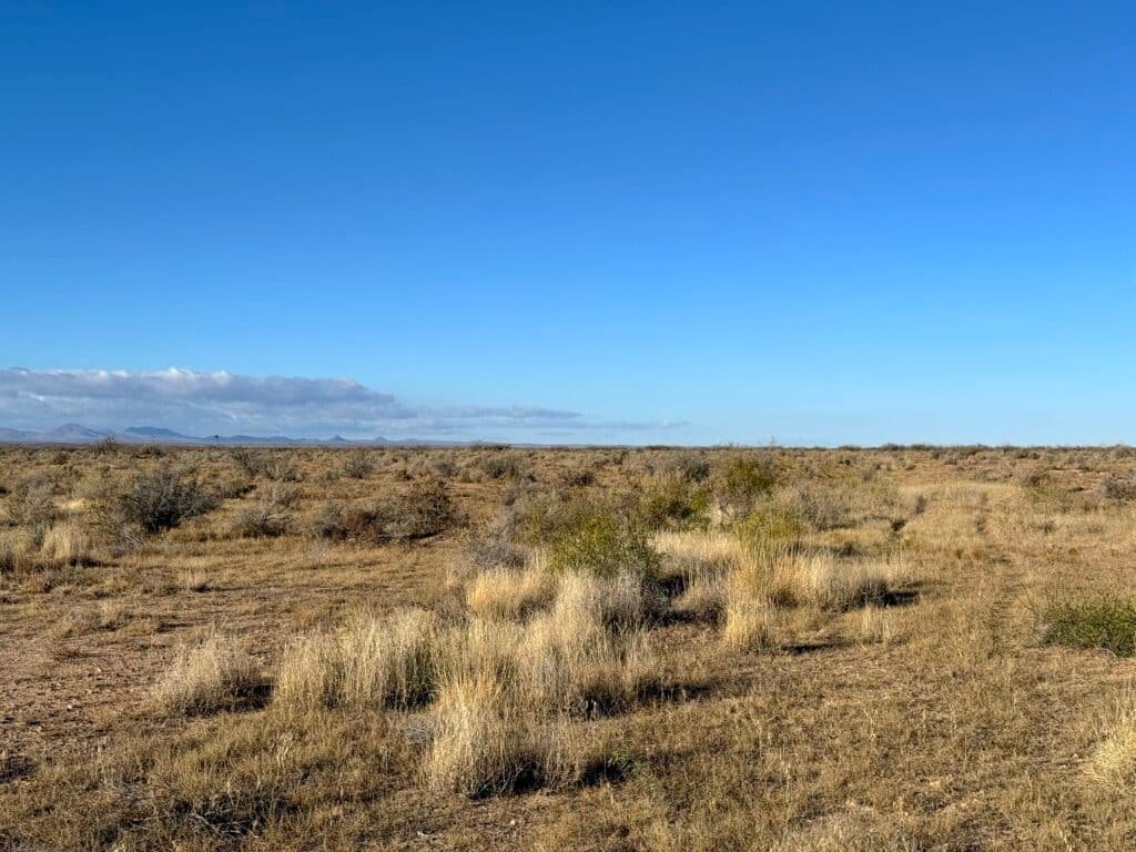 3 Connected Lots 1.5 Acres in Deming, NM with RVs & Mobile Homes Allowed for $99/mo - photo 5