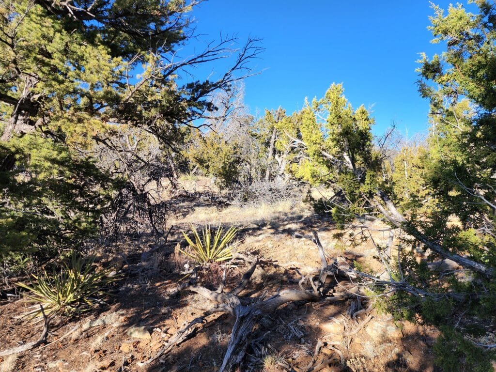5 Acres of Freedom: No Zoning Restrictions for Your Dream Home or RV in Ramah, NM, for $250/mo
