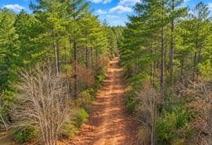 0.19 acre land for sale in Toomsuba, Mississippi - photo 2