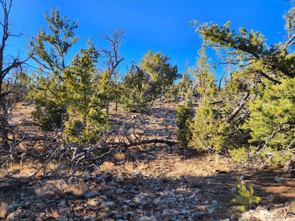 5 Acres of Freedom: No Zoning Restrictions for Your Dream Home or RV in Ramah, NM, for $250/mo - photo 2