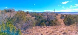 2 acre land for sale in Sanders, Arizona - photo 2