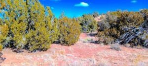 2 acre land for sale in Sanders, Arizona - photo 3