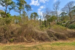 0.19 acre land for sale in Toomsuba, Mississippi - photo 4