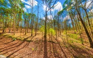 0.33 acre land for sale in Fairfield Bay, Arkansas - photo 6