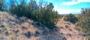2 acre land for sale in Sanders, Arizona - photo 4