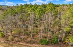 0.19 acre land for sale in Toomsuba, Mississippi - photo 7