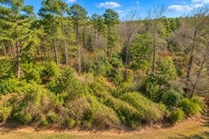 0.19 acre land for sale in Toomsuba, Mississippi - photo 5