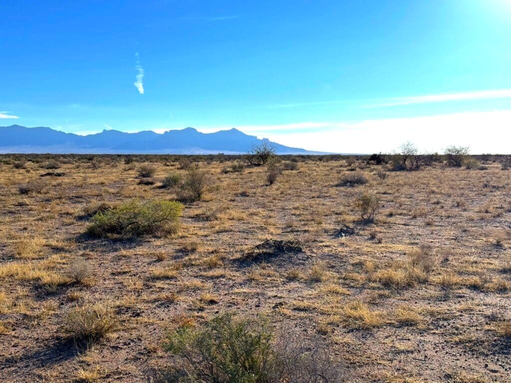 3 Connected Lots 1.5 Acres in Deming, NM with RVs & Mobile Homes Allowed for $99/mo - photo 9
