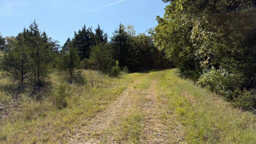 Camping Approved on 2.7 Acres Lake of the Ozarks $125 Month - photo 6