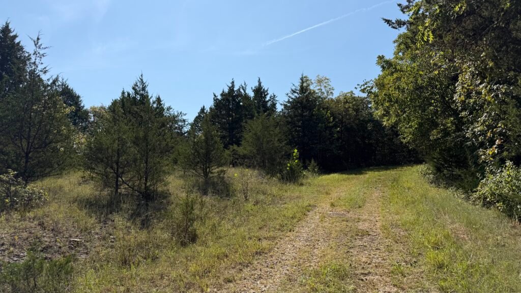 Camping Approved on 2.7 Acres Lake of the Ozarks $125 Month - photo 7
