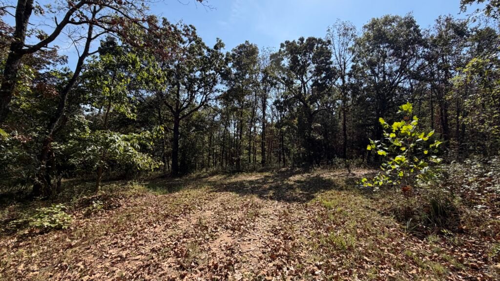 Camping Approved on 2.7 Acres Lake of the Ozarks $125 Month - photo 8