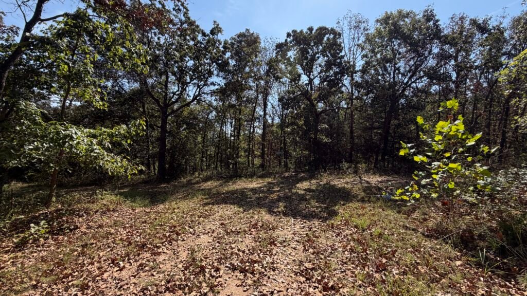 Camping Approved on 2.7 Acres Lake of the Ozarks $125 Month - photo 9