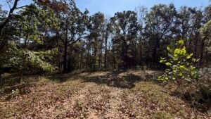 2.7 acre land for sale in Edwards, Missouri - photo 9