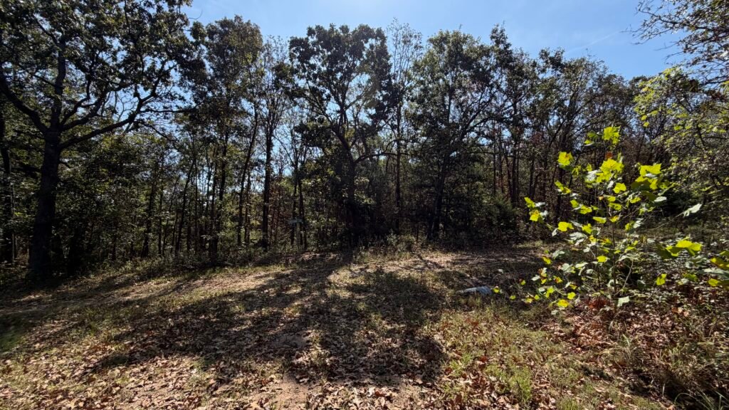Camping Approved on 2.7 Acres Lake of the Ozarks $125 Month - photo 10