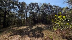 2.7 acre land for sale in Edwards, Missouri - photo 10