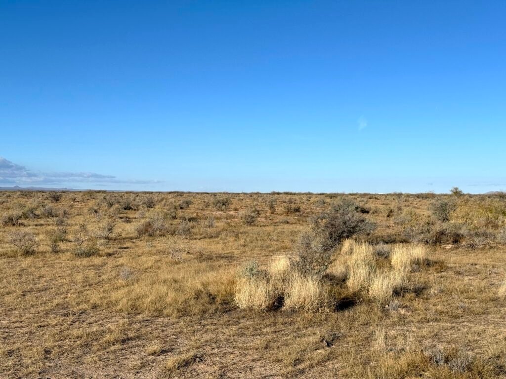 3 Connected Lots 1.5 Acres in Deming, NM with RVs & Mobile Homes Allowed for $99/mo