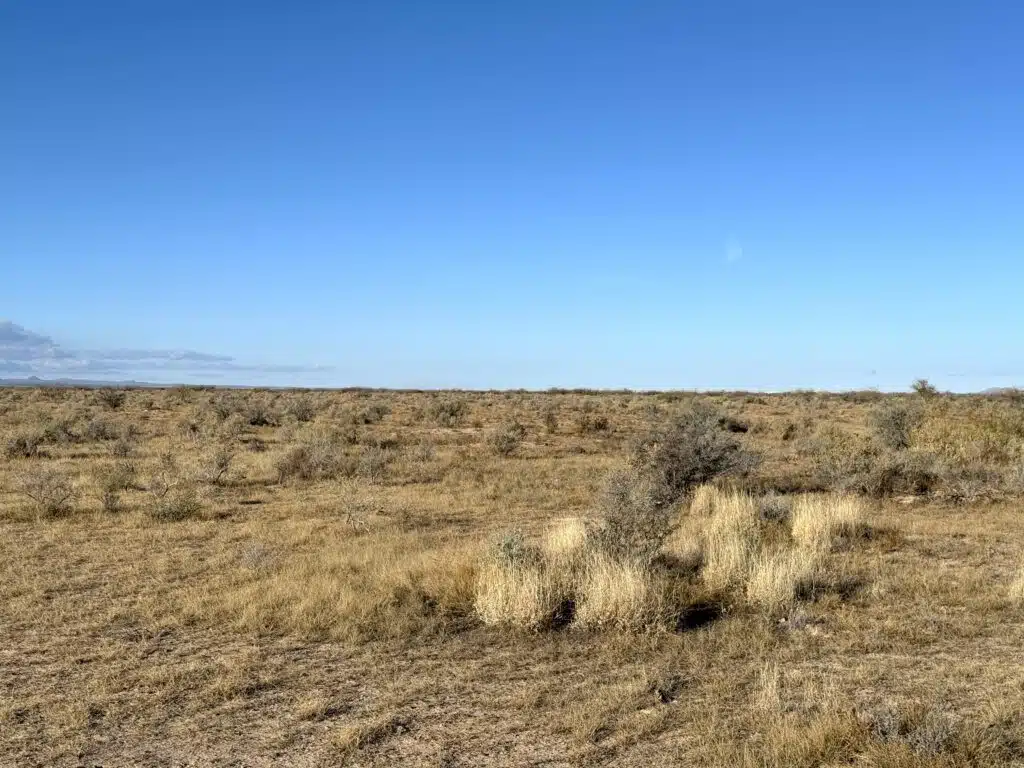 3 Connected Lots 1.5 Acres in Deming, NM with RVs & Mobile Homes Allowed for $99/mo
