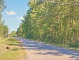0.20 acre land for sale in Oakland, Mississippi - photo 1