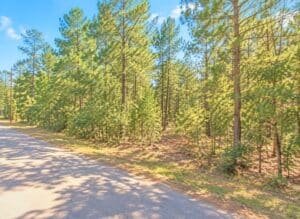 0.20 acre land for sale in Oakland, Mississippi - photo 2