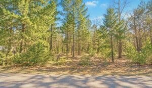 0.20 acre land for sale in Oakland, Mississippi - photo 3