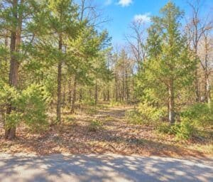 0.20 acre land for sale in Oakland, Mississippi - photo 4