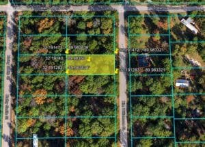 0.25 acre land for sale in Brandon, Mississippi - photo 10