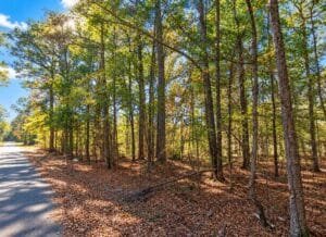 0.25 acre land for sale in Brandon, Mississippi - photo 3