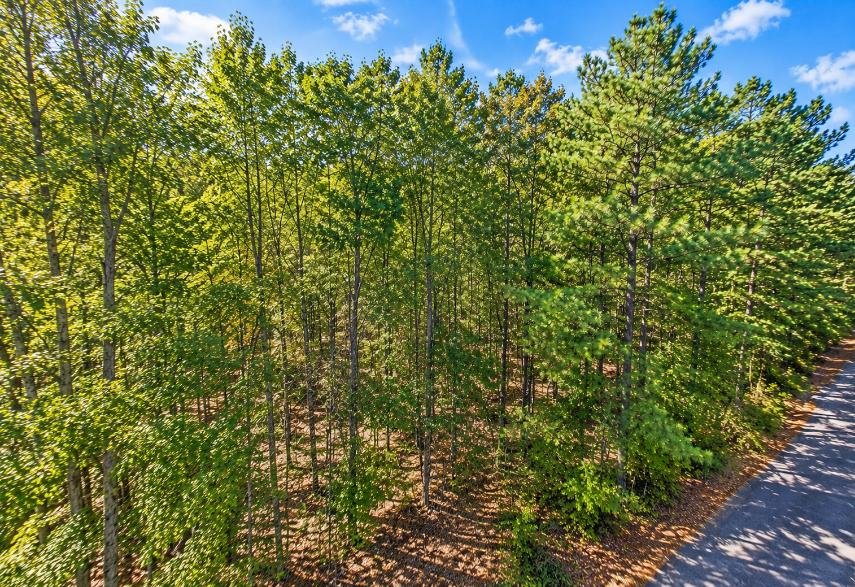 0.25-Acre Wooded Lot for Sale in Rankin County, MS!