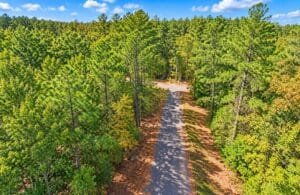 0.25 acre land for sale in Brandon, Mississippi - photo 5