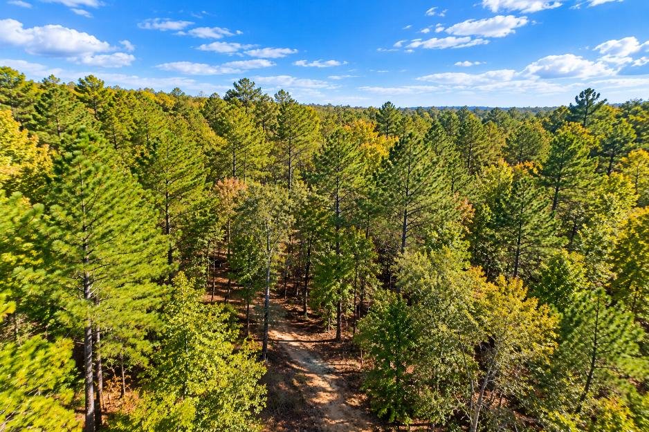 Peaceful Wooded 0.33-Acre Lot Near the Lake in Brandon, MS