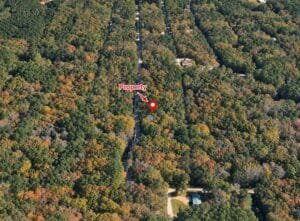 0.33 acre land for sale in Brandon, Mississippi - photo 9