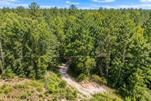 0.33 acre land for sale in Brandon, Mississippi - photo 3