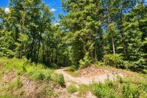 0.33 acre land for sale in Brandon, Mississippi - photo 5