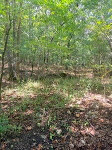 0.34 acre land for sale in Williford, Arkansas - photo 8
