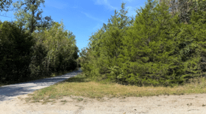 3.8 acre land for sale in Edwards, Missouri - photo 5