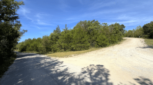 3.8 acre land for sale in Edwards, Missouri - photo 6