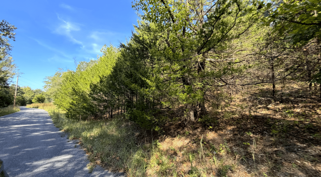 3.81 Acres Wooded with Power in Gated Community for $225/mo! - photo 8