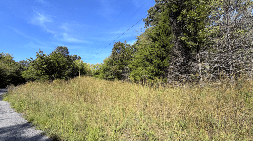 3.81 Acres Wooded with Power in Gated Community for $225/mo! - photo 9